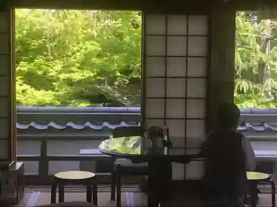 来迎寺(井戸来迎寺・紫雲山来迎寺)の本殿・本堂