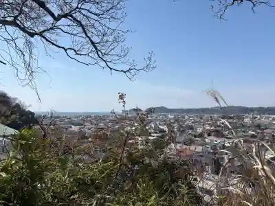 安國論寺（安国論寺）の{uncategorized: "未分類", other: "その他", undefined: "問題あり", building: "その他建物", grave: "お墓", sacred_gate: "鳥居", guardian: "狛犬", statue: "像", buddha: "仏像", history: "歴史", nature: "自然", garden: "庭園", animal: "動物", pagoda: "塔", temizu: "手水舎", mountain_gate: "山門・神門", sanctuary: "本殿・本堂", subordinate: "末社・摂社", art: "芸術", scenery: "景色", jizo: "地蔵", ema: "絵馬", goshuin: "御朱印", omikuji: "おみくじ", items: "授与品その他", amulet: "お守り", goshuincho: "御朱印帳", eats: "食事", festival: "お祭り", votive_dance: "神楽", shichigosan: "七五三参", wedding: "結婚式", experience: "体験その他", initially: "初詣", around: "周辺", anti_infection: "感染症対策"}