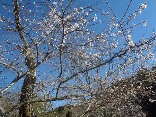 小原稲荷　松月寺(愛知県)