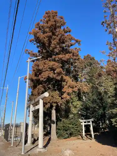 星宮神社(栃木県)