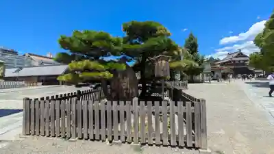 四天王寺(大阪府)