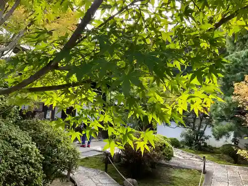 芬陀院(京都府)