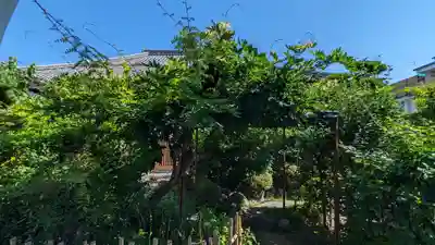 圓通寺(京都府)