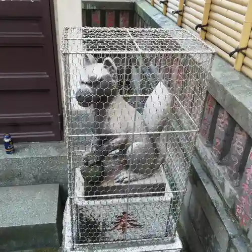 石塚稲荷神社の狛犬