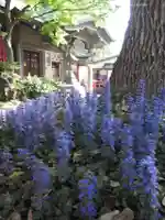 石川町諏訪神社(神奈川県)