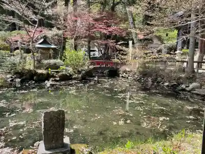 横山不動尊の{uncategorized: "未分類", other: "その他", undefined: "問題あり", building: "その他建物", grave: "お墓", sacred_gate: "鳥居", guardian: "狛犬", statue: "像", buddha: "仏像", history: "歴史", nature: "自然", garden: "庭園", animal: "動物", pagoda: "塔", temizu: "手水舎", mountain_gate: "山門・神門", sanctuary: "本殿・本堂", subordinate: "末社・摂社", art: "芸術", scenery: "景色", jizo: "地蔵", ema: "絵馬", goshuin: "御朱印", omikuji: "おみくじ", items: "授与品その他", amulet: "お守り", goshuincho: "御朱印帳", eats: "食事", festival: "お祭り", votive_dance: "神楽", shichigosan: "七五三参", wedding: "結婚式", experience: "体験その他", initially: "初詣", around: "周辺", anti_infection: "感染症対策"}