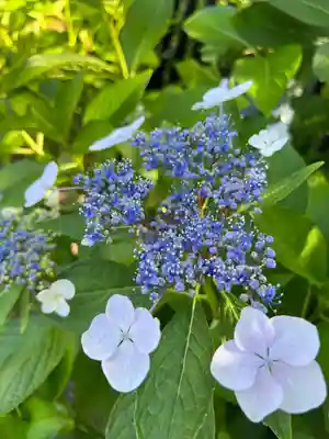 高麗神社(埼玉県)