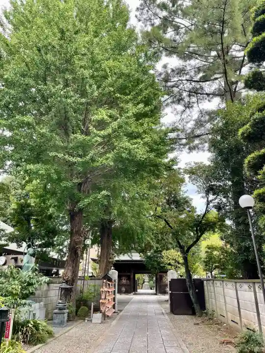 高安寺(東京都)