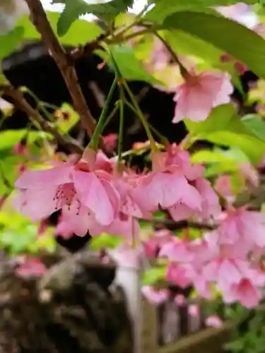 小野照崎神社(東京都)