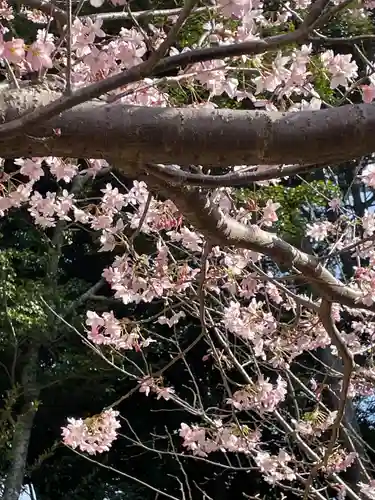 龍雲寺(静岡県)