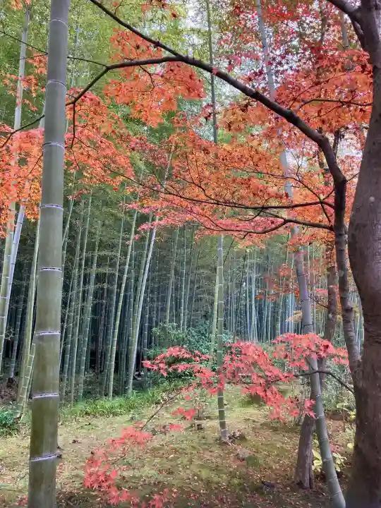 天龍寺(京都府)