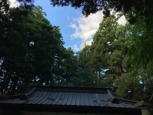 鹿島神社(茨城県)