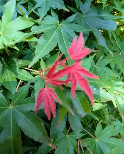 本輪西八幡神社(北海道)