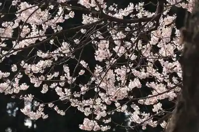 宇賀神さまの自然