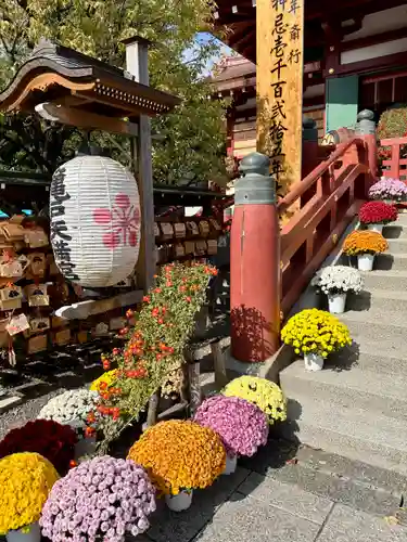 亀戸天神社(東京都)
