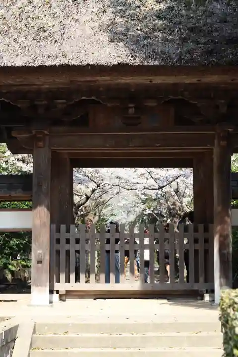 極楽寺(霊鷲山感應院極楽律寺)の{uncategorized: "未分類", other: "その他", undefined: "問題あり", building: "その他建物", grave: "お墓", sacred_gate: "鳥居", guardian: "狛犬", statue: "像", buddha: "仏像", history: "歴史", nature: "自然", garden: "庭園", animal: "動物", pagoda: "塔", temizu: "手水舎", mountain_gate: "山門・神門", sanctuary: "本殿・本堂", subordinate: "末社・摂社", art: "芸術", scenery: "景色", jizo: "地蔵", ema: "絵馬", goshuin: "御朱印", omikuji: "おみくじ", items: "授与品その他", amulet: "お守り", goshuincho: "御朱印帳", eats: "食事", festival: "お祭り", votive_dance: "神楽", shichigosan: "七五三参", wedding: "結婚式", experience: "体験その他", initially: "初詣", around: "周辺", anti_infection: "感染症対策"}