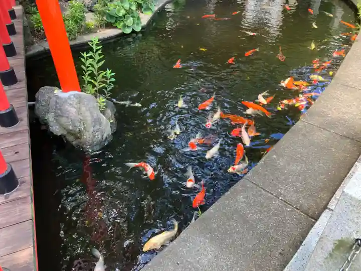 相模国総社六所神社(神奈川県)