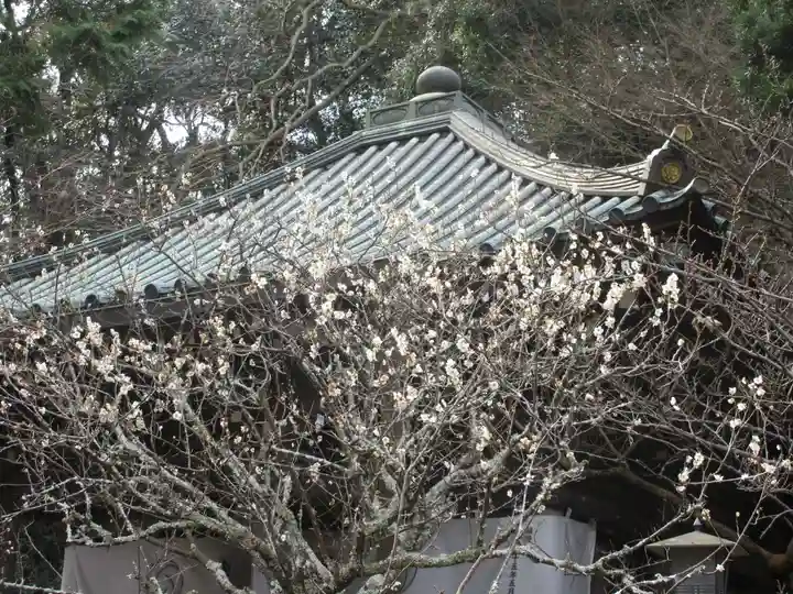 安國論寺(安国論寺)のその他建物