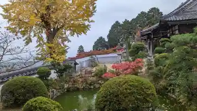 三鈷寺(京都府)