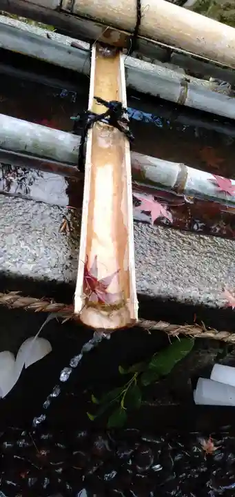 鍬山神社(京都府)