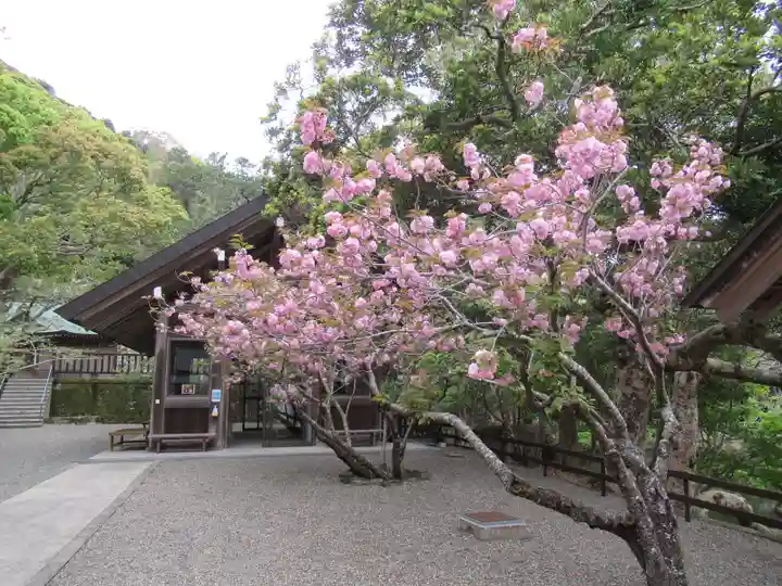 安房神社の自然