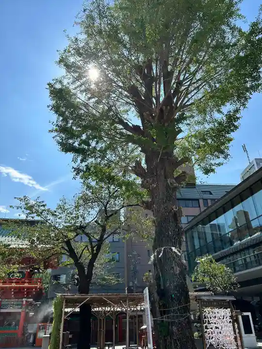 神田神社(神田明神)(東京都)