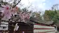 平野神社の自然