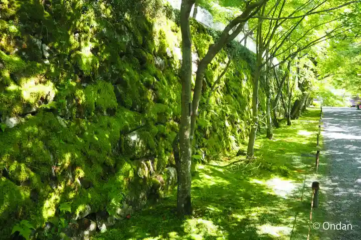 三千院門跡のその他建物