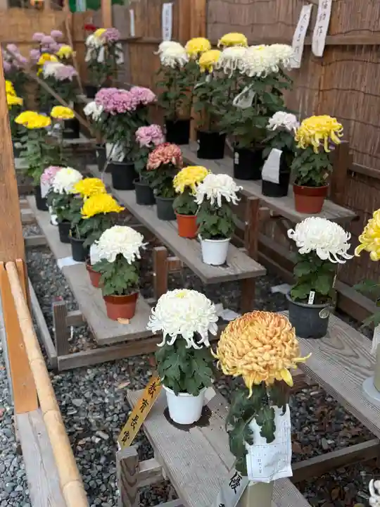 諏訪大社下社秋宮(長野県)