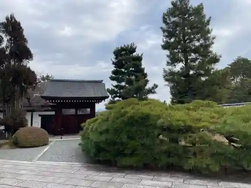 大覚寺(京都府)