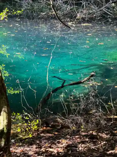 丸池神社(山形県)