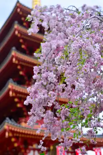 高幡不動尊　金剛寺(東京都)