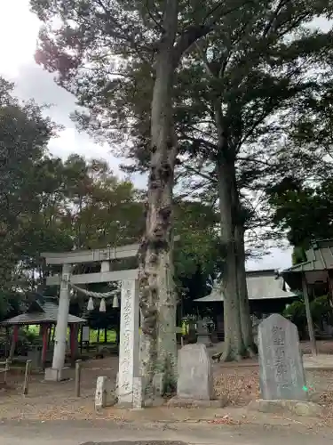 胸形神社(栃木県)