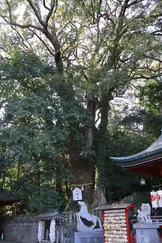 八幡朝見神社(大分県)