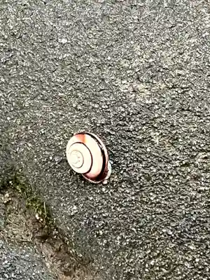 手向山八幡宮(奈良県)