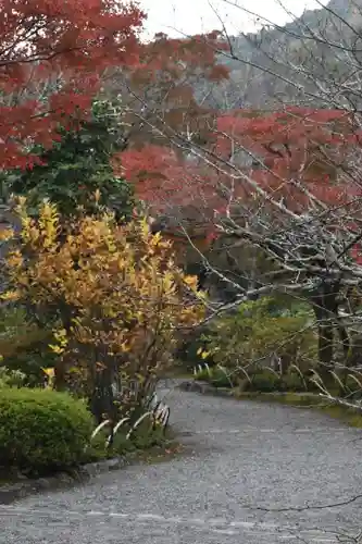 天龍寺(京都府)