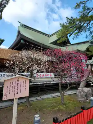 白山神社(新潟県)