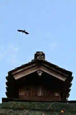 禅蔵寺(愛媛県)