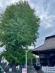 法禅寺(東京都)