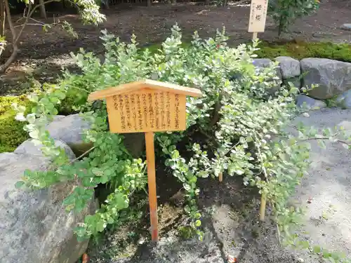 寒川神社の自然