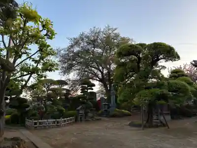 覺王寺(千葉県)