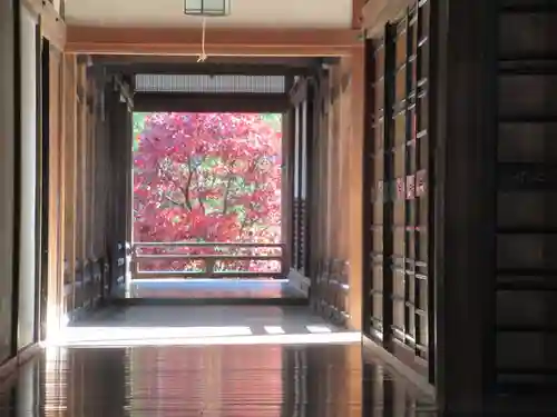 長谷寺(奈良県)