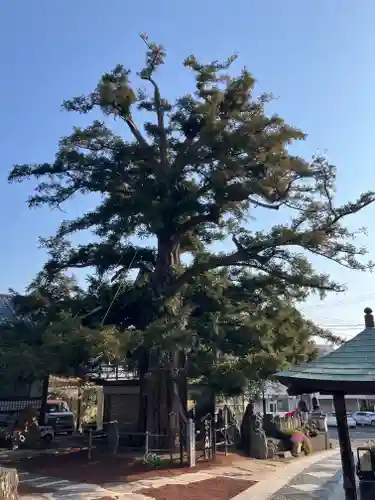 済広寺(静岡県)