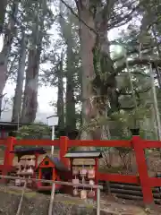 日光二荒山神社の自然