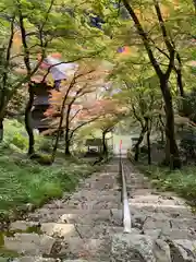 金剛院の建物その他