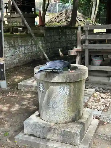 松が丘北野神社(東京都)