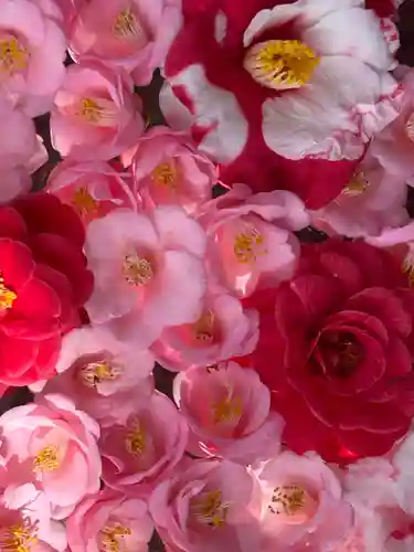 霊鑑寺門跡(京都府)