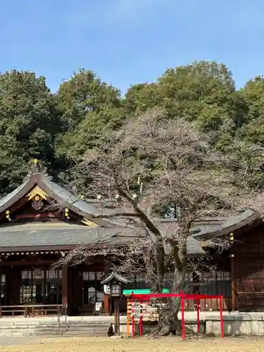 群馬県護国神社(群馬県)