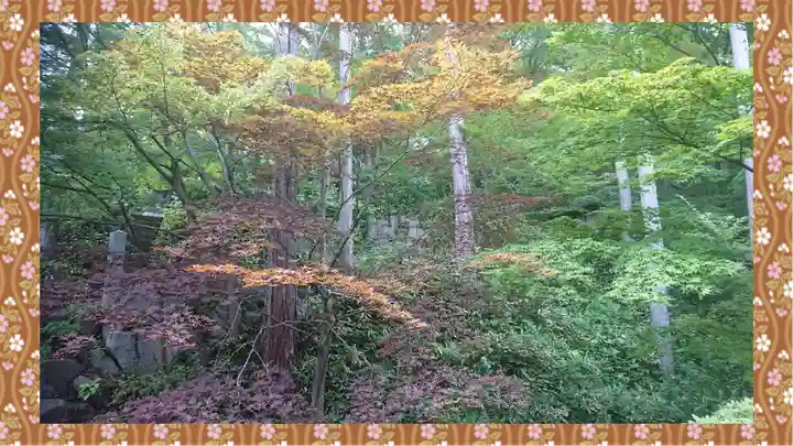 崇禅寺(群馬県)