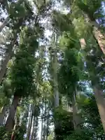男山八幡神社の自然